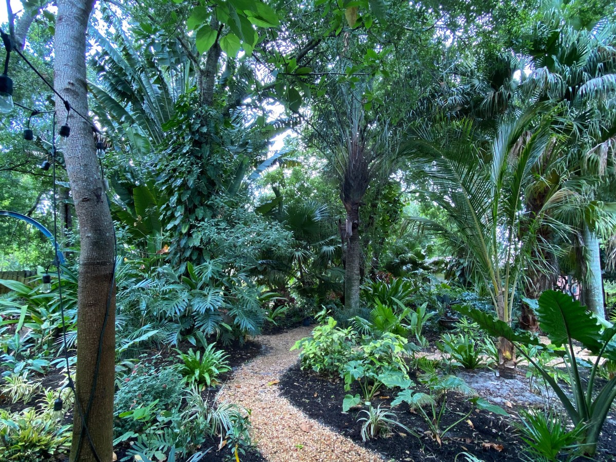 Coconut Casita Wonderland&nbsp;Garden