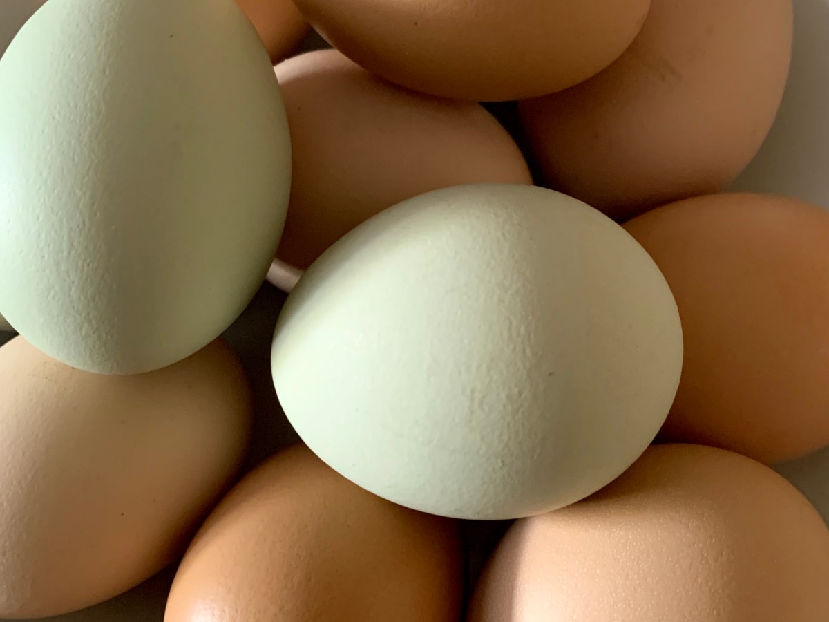 An Eggs-tremely Easy Summer&nbsp;Meal